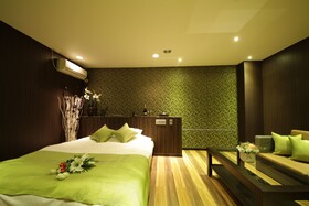 MINT Premium