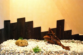 Miyabian House