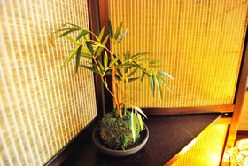 Miyabian House