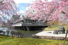 Mulan Hostel