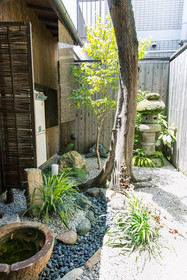 Naokonoza Fuyacho