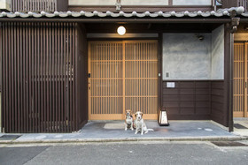 Nishijinkita Hagi