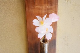 Oyado Tofukuji 2