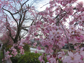 RESI STAY Higashiyama Sanjo