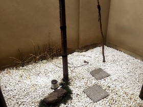 Rin Kyoto
