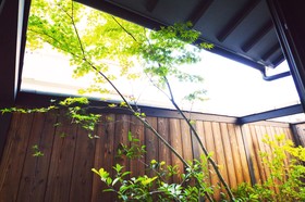 Rinn Gion Yasaka