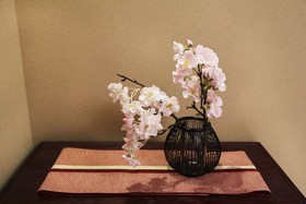 Rinn Nishi Wakamatsu