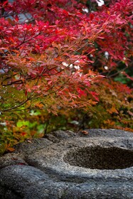Roku Kyoto, LXR Hotels & Resorts