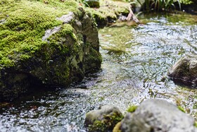 Roku Kyoto, LXR Hotels & Resorts