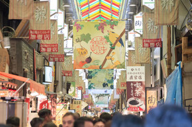 Ryokan Hostel Gion