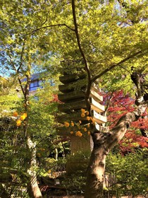 Ryokan Nenrinbo