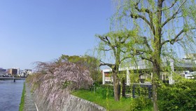 Ryokan Ohto