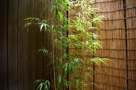 Shiki Homes - Aki