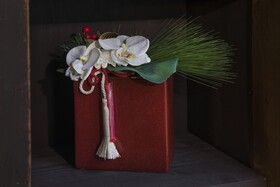 Shiki Homes | BISHO Misaki