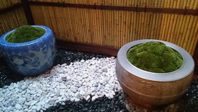 Shimogyou-an