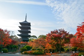 Stay SAKURA Kyoto Nijo Castle West I