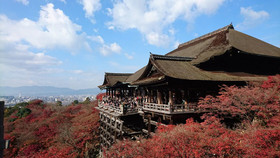 Stay Sakura Kyoto To-ji Temple West Gate