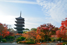 Stay Sakura Kyoto To-ji Temple West Gate