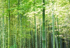 Suiran A Luxury Collection Hotel, Kyoto