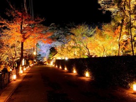 Sun Members Kyoto-Saga