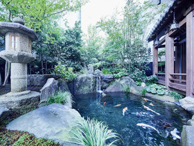 Sunrise Suites