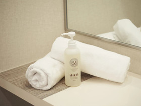 The Pocket Hotel Kyoto Shijokarasuma
