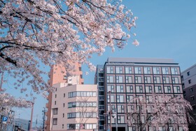 The Royal Park Canvas - Kyoto Nijo