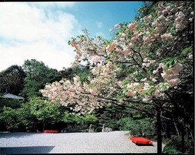 Six Senses Kyoto