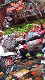 Tsubaki Ann Kyoto