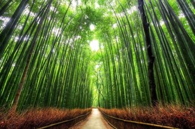 Tsubame Ya
