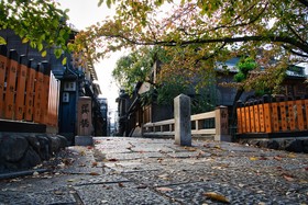 Tsumugi Gojo Omiya