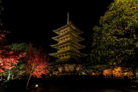 Tsumugi Gojo Omiya