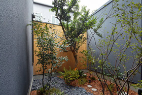 Yadoru Kyoto Matcha No Yado