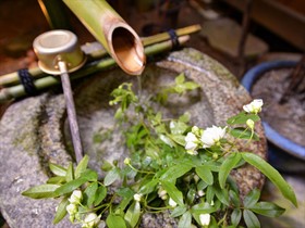 Yamamoto Ryokan