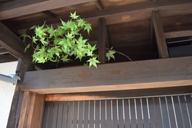 Your Castle in West Shijo