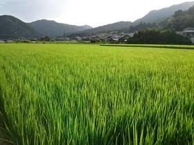 Yumoto Onsen OharaSansou