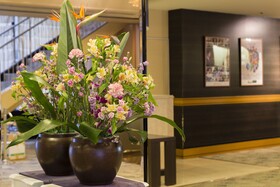 Ark Hotel