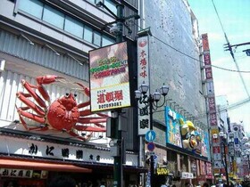 Ark Hotel