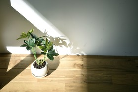 Beehive Hostel Osaka