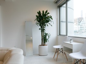 Big Room Guest House