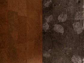 Earthmans Amemura