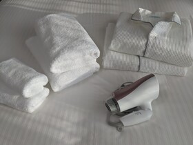 Eslead Hotel Namba South II