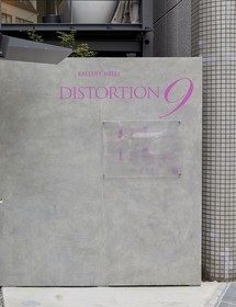 Gallery Hotel Distortion 9
