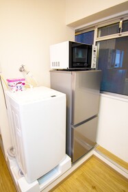 Grande Shagi GS301