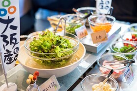 Hiyori Hotel Osaka Namba