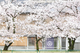 Hostel Mitsuwaya Osaka