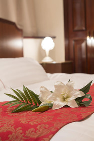 Hotel Alps - Adults Only