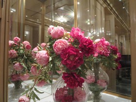 Hotel Casablanca - Adults Only