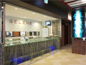 Hotel Chuo Selene