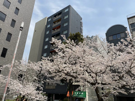 Hotel ffosaka.com